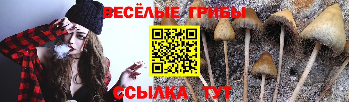 Камышлов  Псилоцибиновые грибы Psilocybine cubensis  Вход с VPN  Псилоцибиновые грибы мицелий 